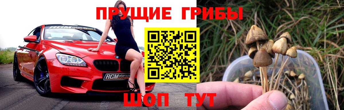 Белорецк  Псилоцибиновые грибы прущие грибы  Псилоцибиновые грибы Magic Shrooms  Вход с VPN 